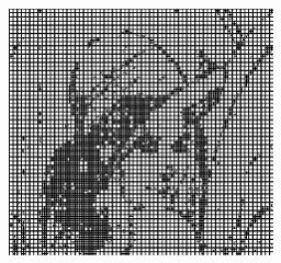 pln hierarchick lenn (27 kB)